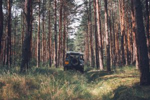 land rover auto